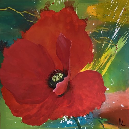 Mohn