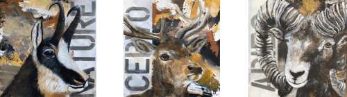 Gemse Hirsch Widder